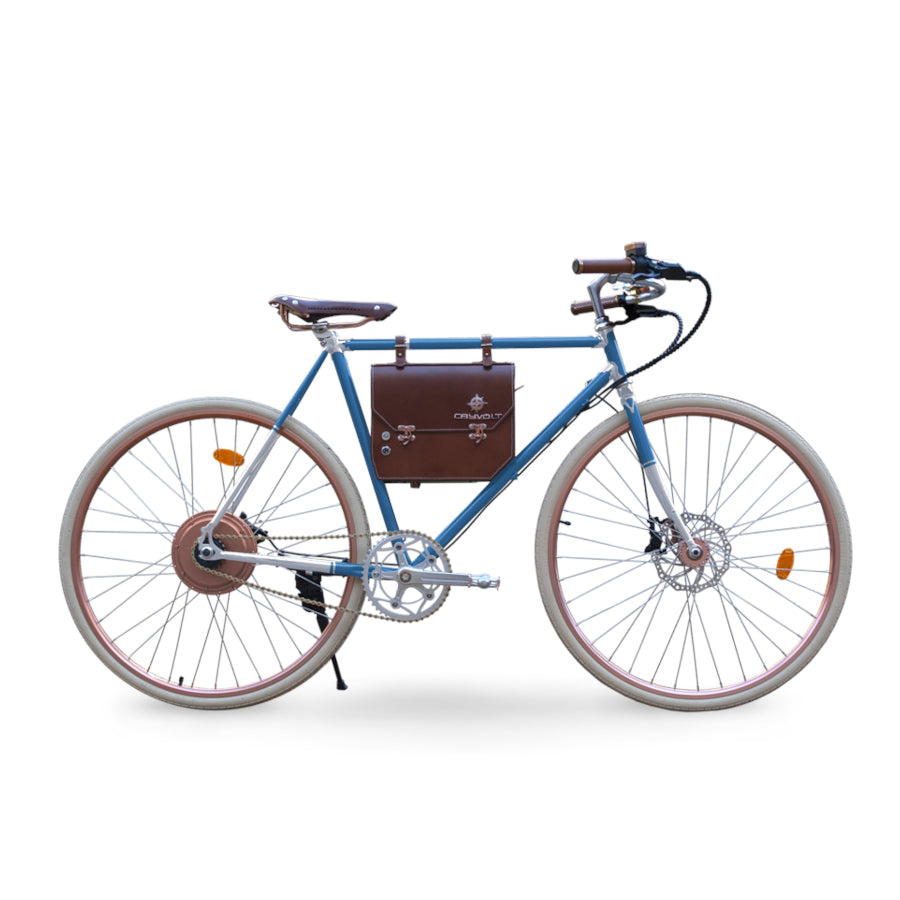 E-Bike Vintage & Retro bei Star-Biker - Rayvolt Ambassador Elektro Fahrrad mit 25 km/h & Straßenzulassung jetzt kaufen