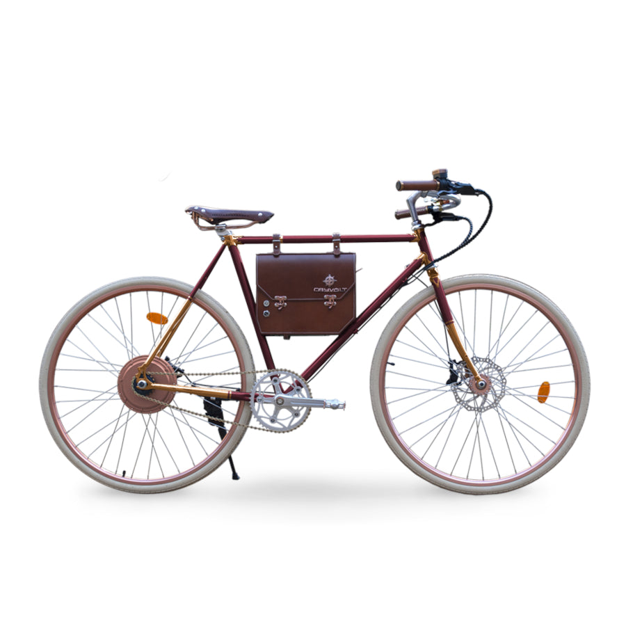 E-Bike Vintage & Retro bei Star-Biker - Rayvolt Ambassador Elektro Fahrrad mit 25 km/h & Straßenzulassung jetzt kaufen